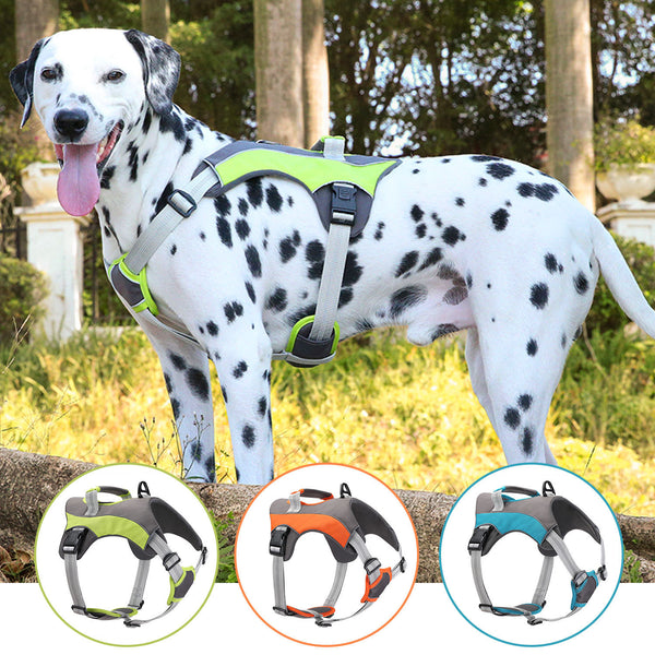 New Outdoor Large Dog Anti Breaking Loose Sports Breathable Big Dog Chest Back Hand Holding Rope