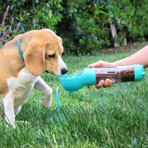 Station d'hydratation portable 3 en 1 pour animaux de compagnie