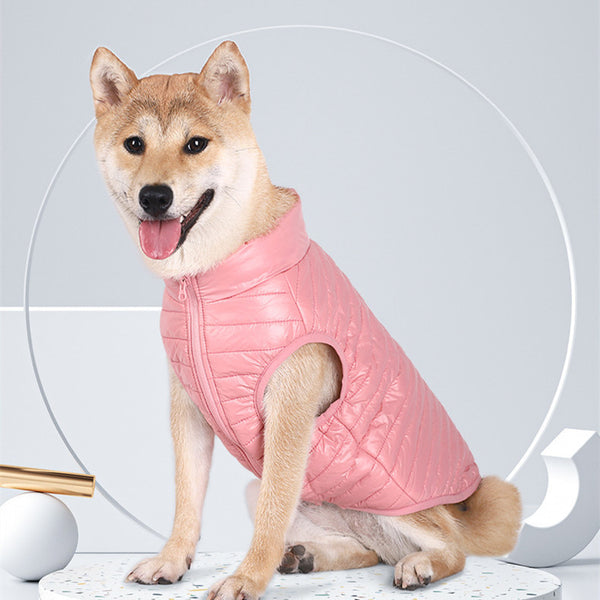 Veste pour chiot entièrement en nylon avec fermeture éclair pour automne et hiver