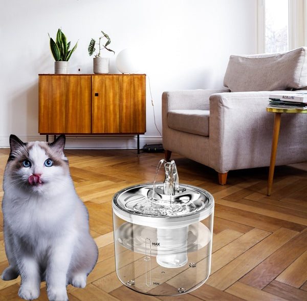 Distributeur d'eau à induction automatique et intelligent pour chat