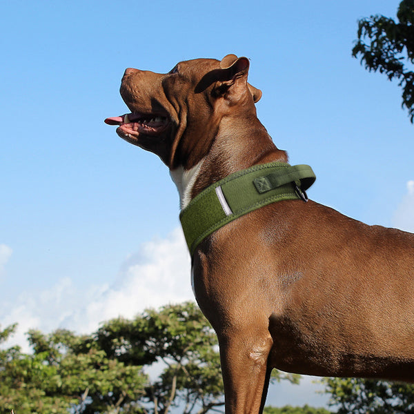 Collar de nailon con camuflaje para perros y caballos