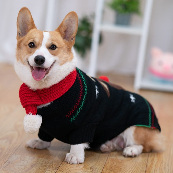 Padded Coat Pet Padded Winter Shiba