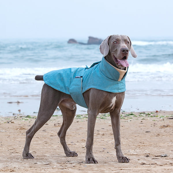 Vêtements pour chiens de taille moyenne et grande, résistants au froid et à la chaleur, gilet pour animaux de compagnie résistant aux taches et lavable