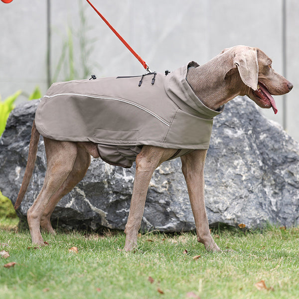 Veste Soft Shell d'extérieur pour chien