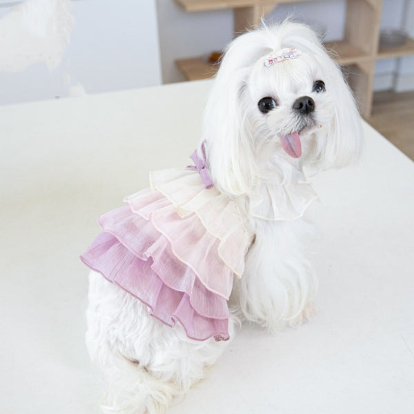 Color Gradient Cake Dress Pet Dog Clothes