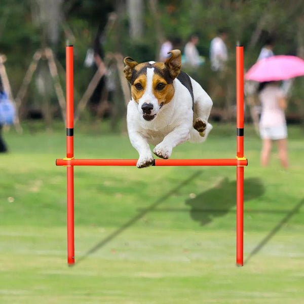 Equipo portátil de entrenamiento de agilidad para perros