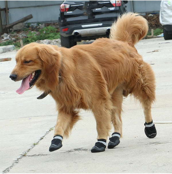 Zapatos para mascotas resistentes al desgaste y transpirables para perros grandes