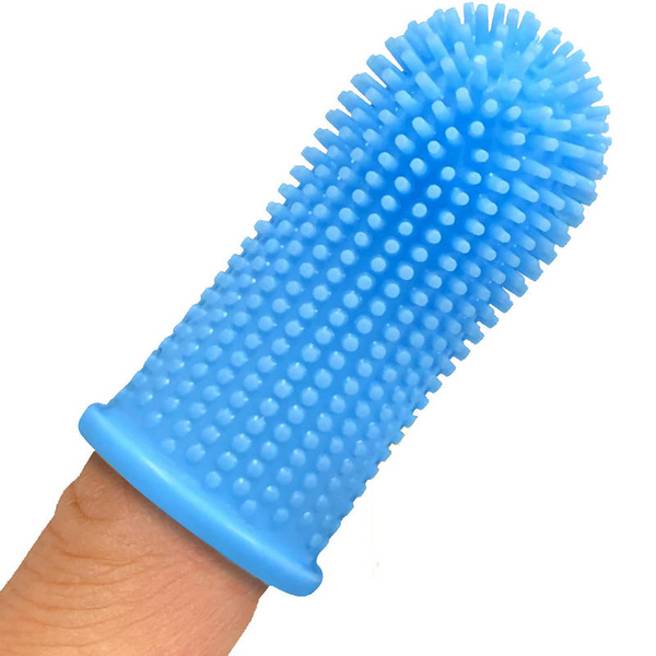 Brosse à dents pour animaux de compagnie super douce