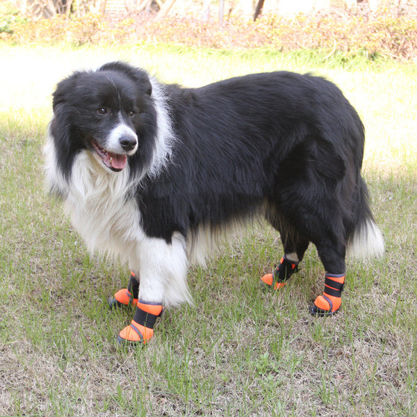 Chaussures antidérapantes pour chiens, sports de plein air, escalade