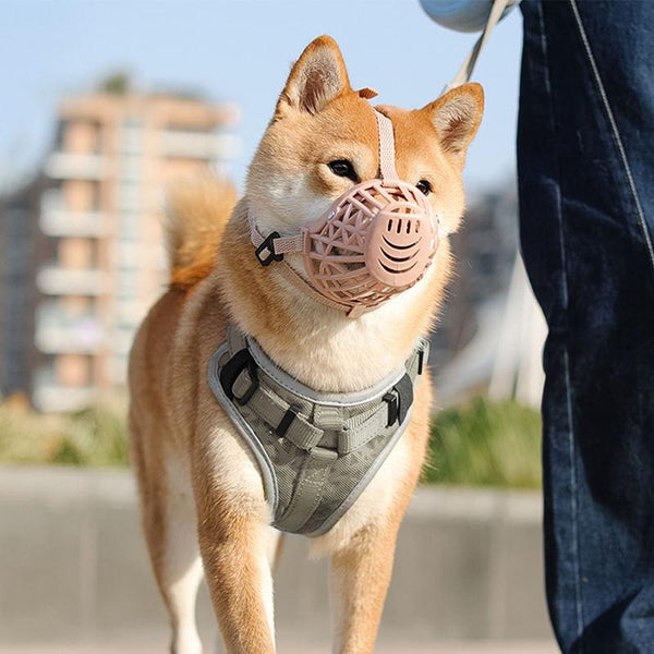 Breathable Silicone Dog Muzzle for Anti-Barking, Biting, and Chewing