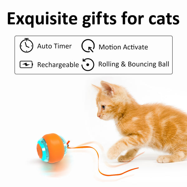 Jouet électrique pour chat Balle interactive