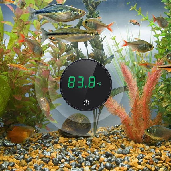 Thermomètre numérique pour aquarium de haute précision