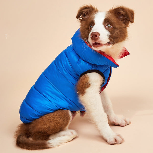 Vêtements d'hiver chauds en coton pour chien