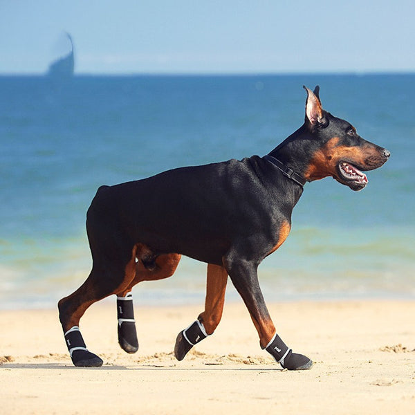 Chaussures d'extérieur anti-chute pour animaux de compagnie en amont