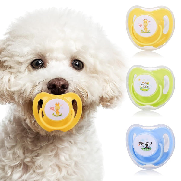 Sucettes pour petits chiens Sucettes pour chatons Jouets de dentition pour chiots et jouets à mâcher pour chats Fournitures essentielles pour animaux de compagnie Essentiels pour chiots et fournitures pour chatons