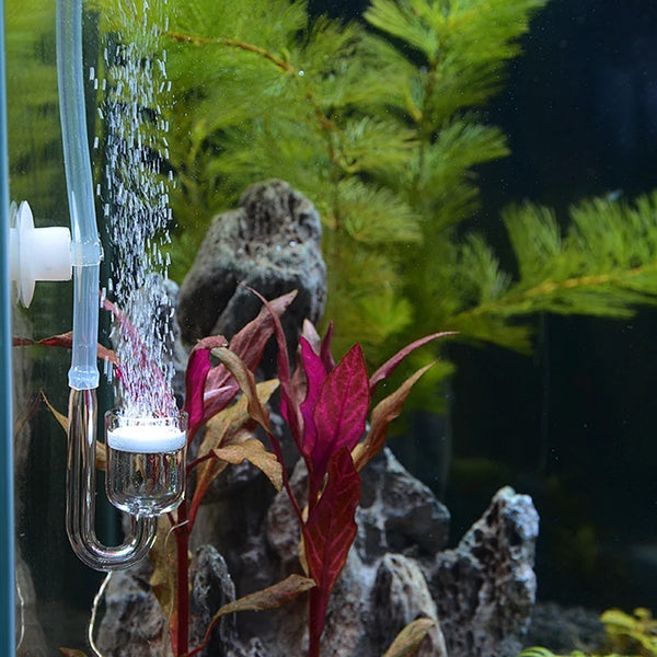 Système de diffusion de CO2 pour aquariums