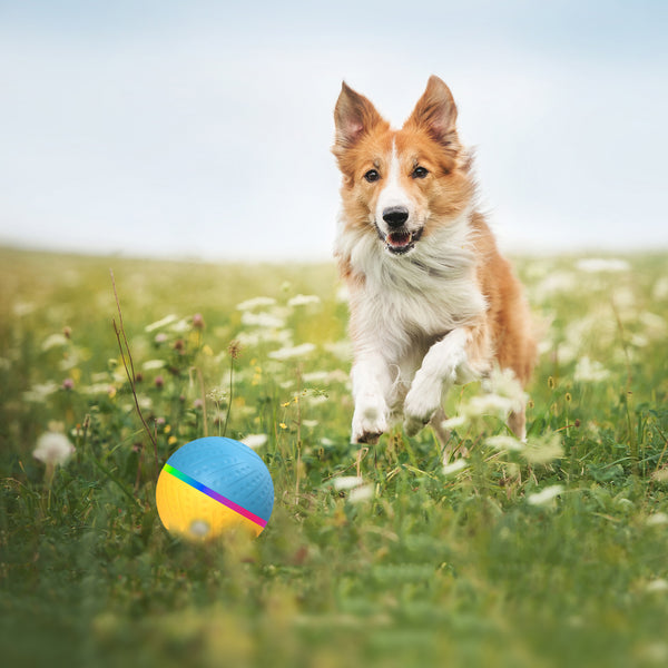 Pelota de juguete inteligente interactiva anticongestión con control remoto resistente a mordidas