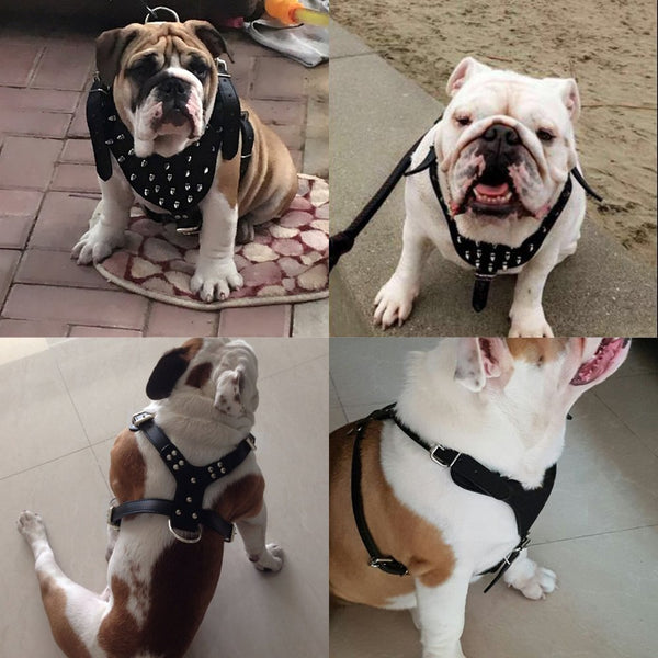 Correa para el pecho con remaches estilo punk para perros grandes, a prueba de explosiones