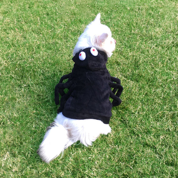 Cat Dog Clothes Halloween Funny Spider Style