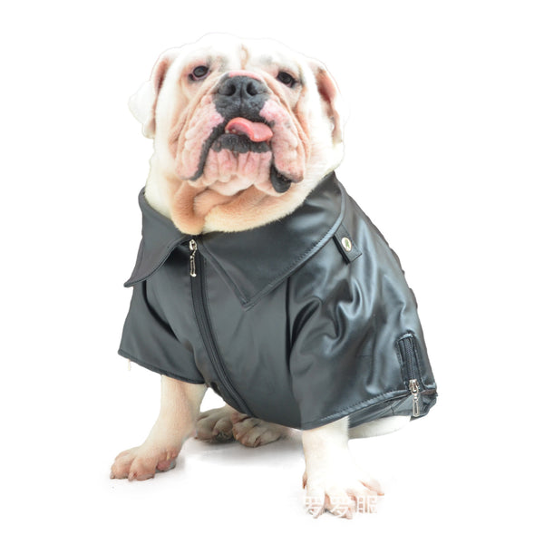 Vêtements pour gros chiens Vêtements d'automne et d'hiver Veste en cuir