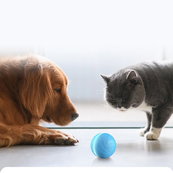 Juguete para mascotas con forma de pelota saltarina automática