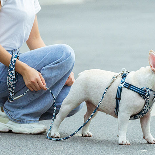 Cuerda para sujetar con la mano redonda y floral para mascotas al aire libre