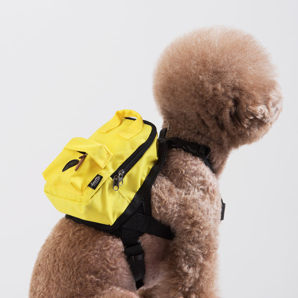 Sac à dos carré lavable pour chien de compagnie, petit format