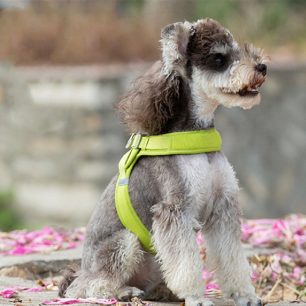 Chaleco para perros con espalda en forma de corazón, suave, transpirable y ligero