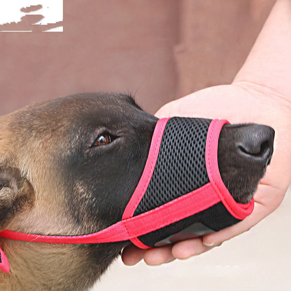 Couvre-bouche pour éviter de manger sans discernement un gros chien labrador