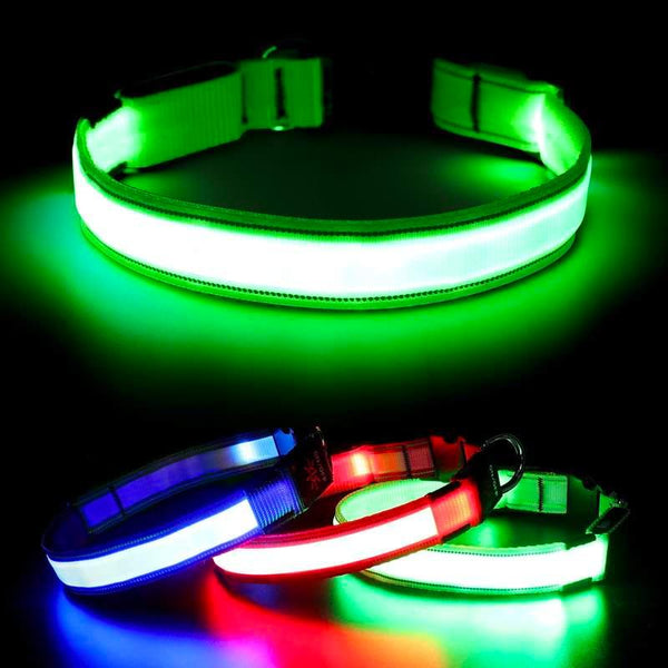 Collier LED réglable pour chien - Rechargeable par USB, lumière de sécurité clignotante, plusieurs tailles