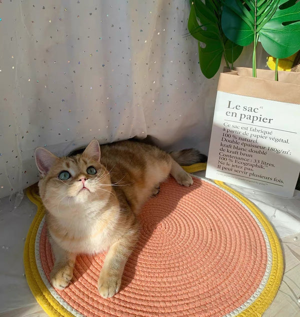 Marco de escalada para gatos, rascador de sisal para gatos, decoración para gateras, juguete para patas de gato, plataforma para saltar para gatos