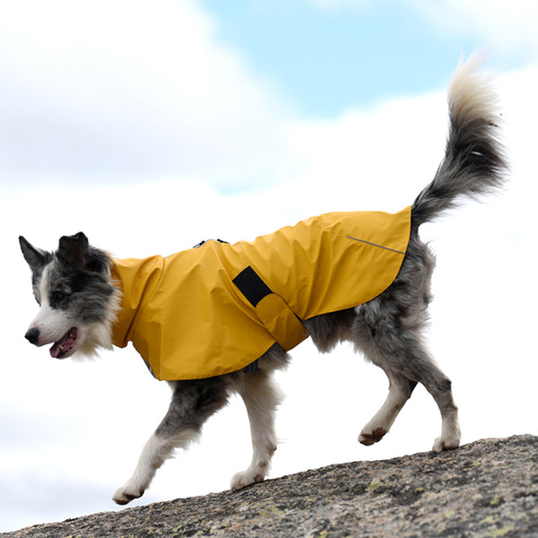 Chaqueta impermeable para mascotas, cortavientos, resistente al agua, para perros