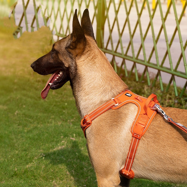 Correa para el pecho reflectante de camuflaje a prueba de explosiones para perros