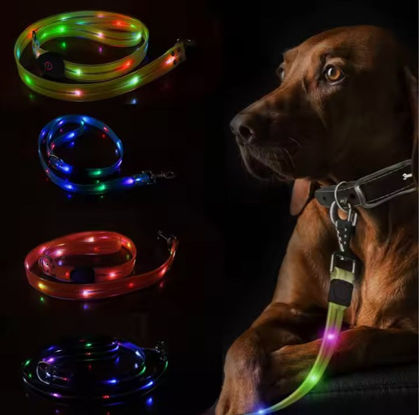 Collar luminoso para perro con cuerda colorida para mascotas, resistente a la pérdida y con sujeción manual