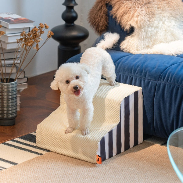 Escaleras para perros Camas con pendiente Camas para mascotas