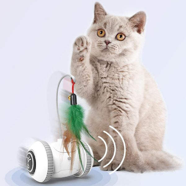 Jouet interactif pour chat avec têtes interchangeables Jouets en plumes pour animaux de compagnie