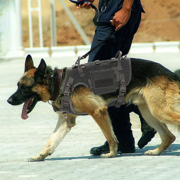 Chaleco Molle con arnés táctico ajustable para perros